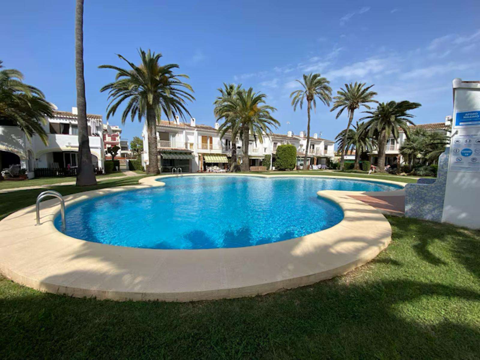 Shared pool surrounded by palm trees